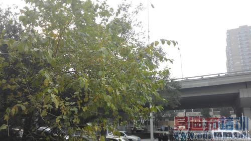 ��ΪMate7/����Note4�Ա����⣺�����콢֮�� ��˼о����