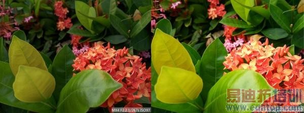 ����Աȣ�����MX4/С��4�۷�Ծ� iPhone6/6 Plusͬ�Ҳٸ�