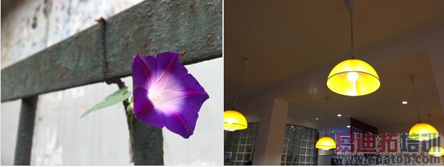 �Ա����⣺��������iPhone 6���� ��Ƚ���֮��