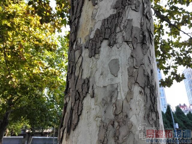 ��Ϊmate 7/HTC M8/M8 Eye���նԱ�����