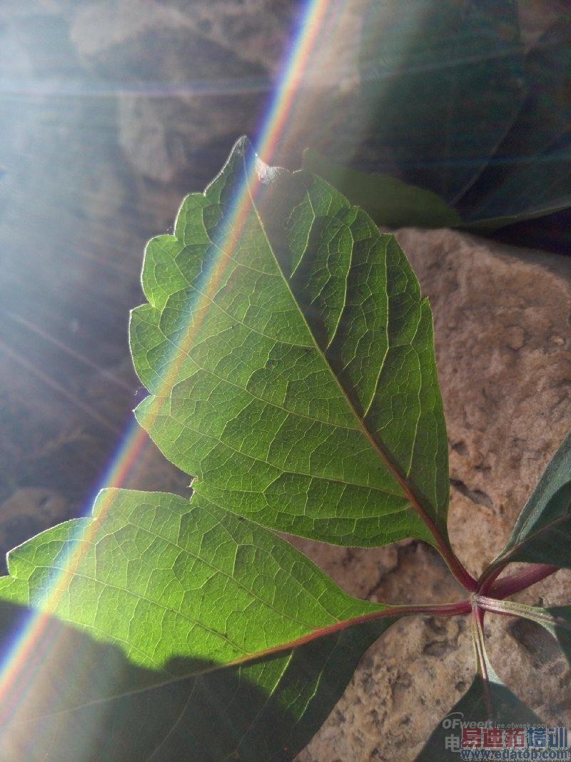 ����MX4�������鱨�棺����2070W����ͷ���ջ� �ڴ�MX4 Pro