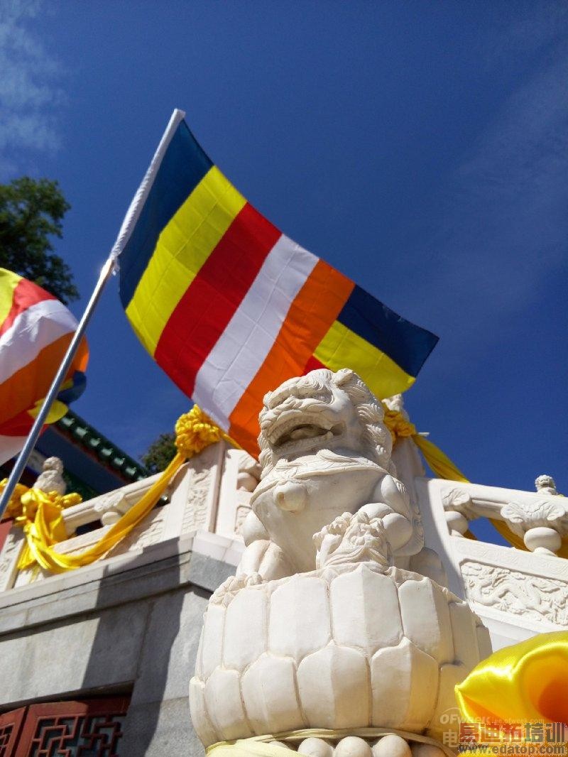 ����MX4�������鱨�棺����2070W����ͷ���ջ� �ڴ�MX4 Pro