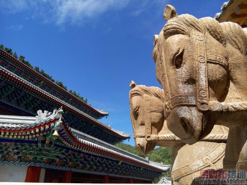 ����MX4�������鱨�棺����2070W����ͷ���ջ� �ڴ�MX4 Pro