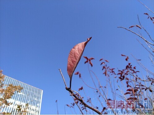 ������iPhone��nubia Z7�������