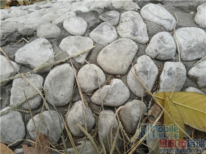 ����MX4 Proȫ��PKС��4��ս������ ��������