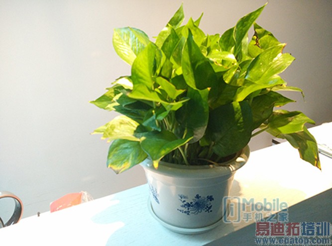 ����MX4 Proȫ��PKС��4��ս������ ��������