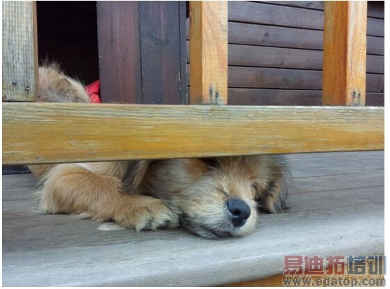 �����콢����㣡����MX4 Pro��ϸ��������