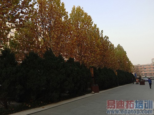 �Ա����⣺����MX4 Pro��ս����Note4 �������ܷ�������