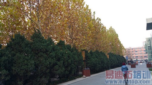 �Ա����⣺����MX4 Pro��ս����Note4 �������ܷ�������