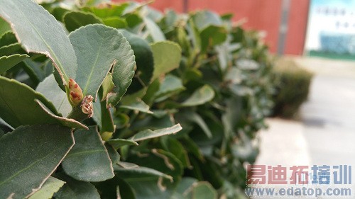 �Ա����⣺����MX4 Pro��ս����Note4 �������ܷ�������