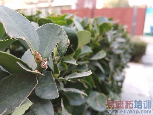 �Ա����⣺����MX4 Pro��ս����Note4 �������ܷ�������