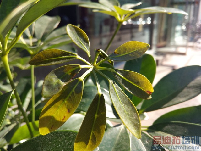 �����������黳 ����MX4�Աȴ����ֻ� 