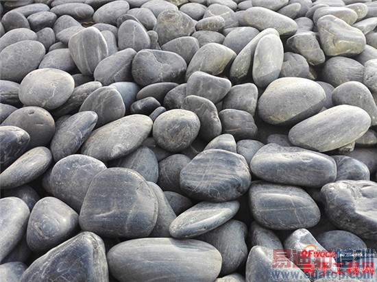 ����MX4 Pro���ܸ��ã�MX4/С��4/��ҫ6�Ա�����̽��