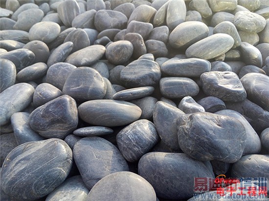 ����MX4 Pro���ܸ��ã�MX4/С��4/��ҫ6�Ա�����̽��