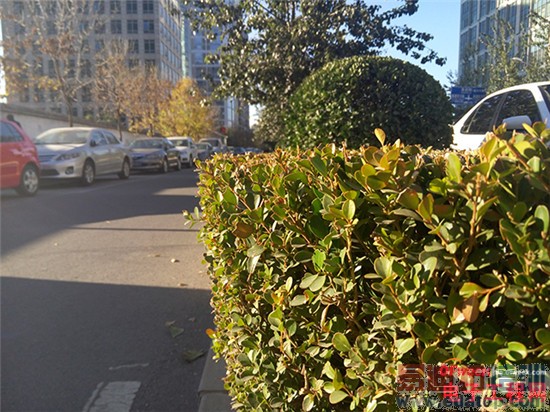 ����MX4 Pro���ܸ��ã�MX4/С��4/��ҫ6�Ա�����̽��