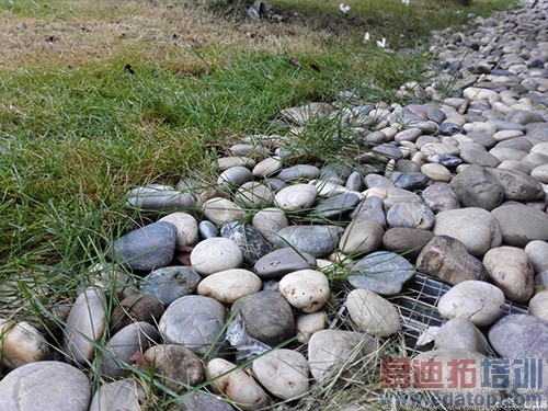 Ʒζ��ΪMate7��ָ��ʶ��˼о ����MX4 Pro��γ�Խ��