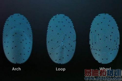 ����MX4 Pro/С��5/��ΪMate7����ָ��ʶ���ս