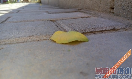 ����������MX4���⣺Լ��MX4 Pro ����������������Ϯ