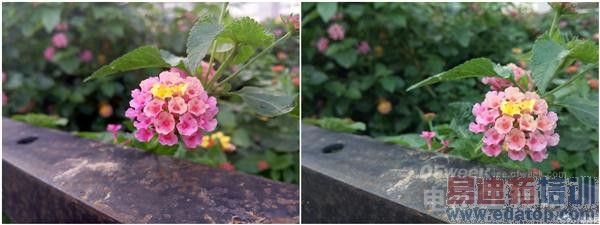 ����MX4�Աȴ�����T1����������黳 ���������ƹ����������