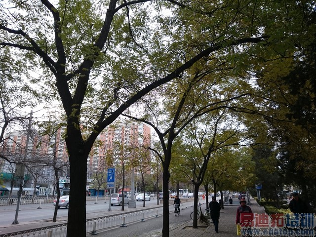 IMX220ͬ�ŶԾ� ����Z3/����MX4���նԱ� 