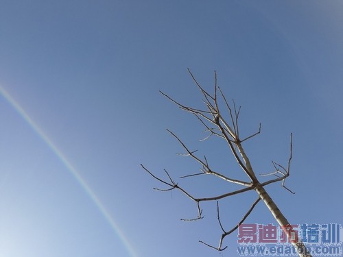 С��5/MX5��Ļս��С��4�Ա�����MX4 Pro ����ɽ֮ս