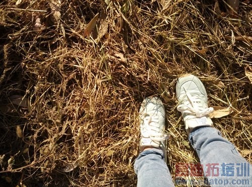 С��5/MX5��Ļս��С��4�Ա�����MX4 Pro ����ɽ֮ս