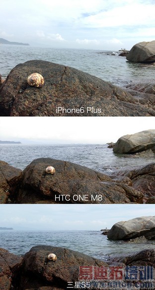 ����㷨�����Ȧ 