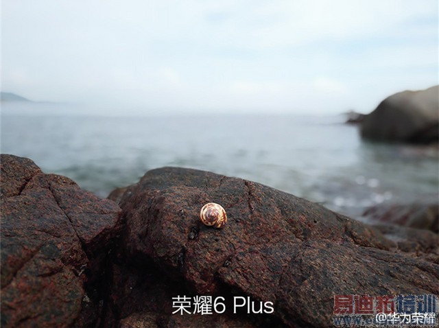 ����㷨�����Ȧ 