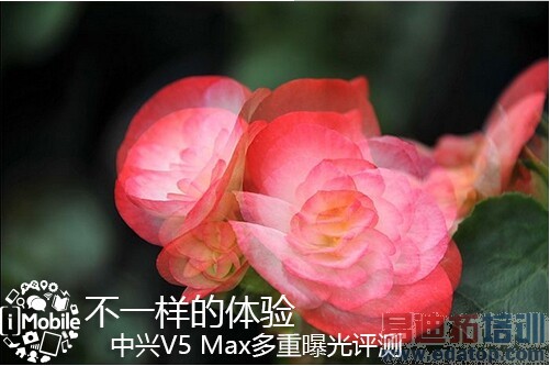 ��һ�������� ����V5 Max�����ع�����