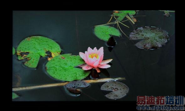 takeeȫϢ�ֻ����⣺������3D��ͬ �ж����棿