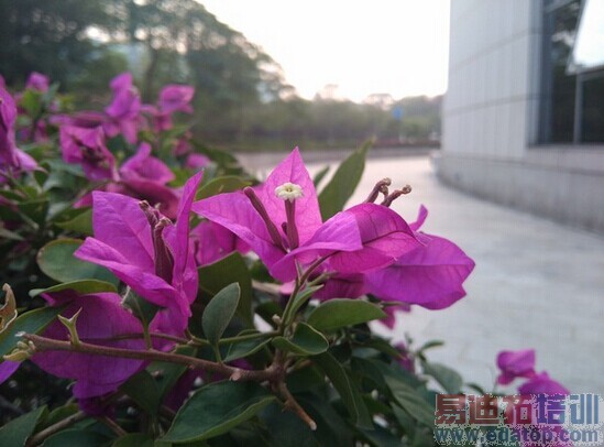 ����nubia Z7��ϸ���⣺�����ʶ��콢ͨɱ4G����