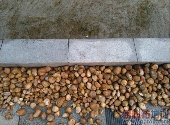 ����nubia Z7��ϸ���⣺�����ʶ��콢ͨɱ4G����