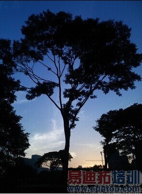 ����nubia Z7��ϸ���⣺�����ʶ��콢ͨɱ4G����