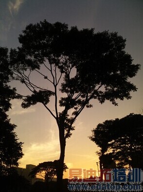 ����nubia Z7��ϸ���⣺�����ʶ��콢ͨɱ4G����