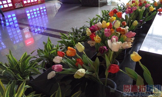 价差700你选谁? 魅族MX4/MX4 Pro对比