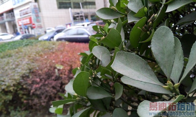 价差700你选谁? 魅族MX4/MX4 Pro对比