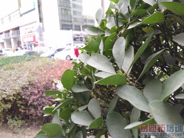 价差700你选谁? 魅族MX4/MX4 Pro对比