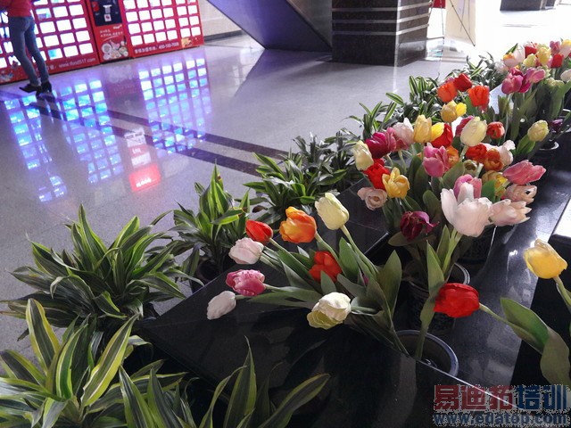 价差700你选谁? 魅族MX4/MX4 Pro对比