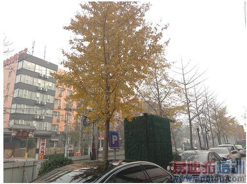 ��ǿ����ս MX4 Pro&OPPO N3���նԱ�