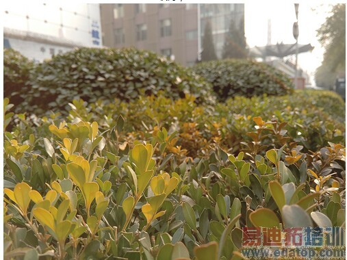 ��ǿ����ս MX4 Pro&OPPO N3���նԱ�