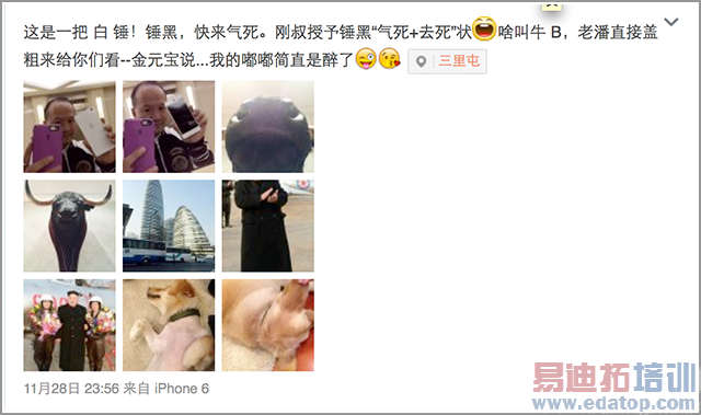 Ͷ�����ֳ�iPhone 6 �ع��ɫ�洸�� T1 