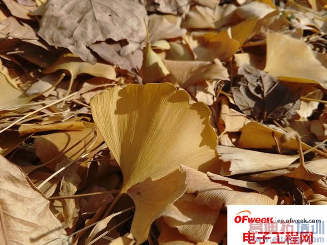 ����MX4 Pro�����µ�����ң���ֻ������Ŀ�ʼ��