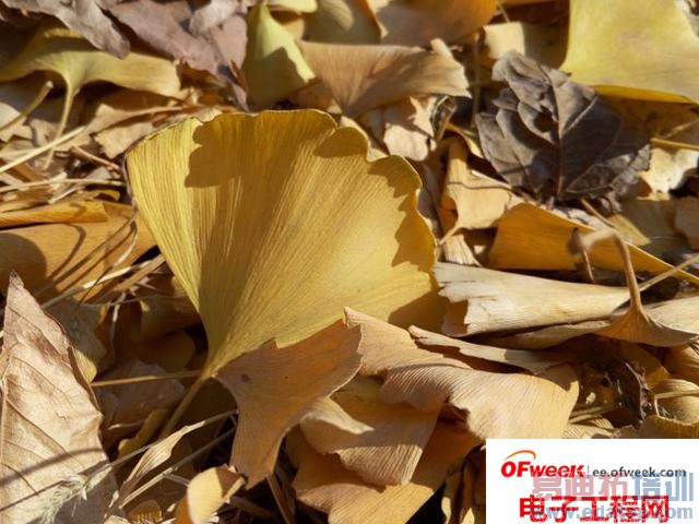 ����MX4 Pro�����µ�����ң���ֻ������Ŀ�ʼ��