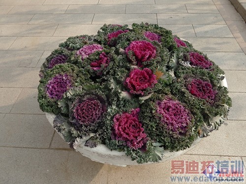 ����MX4 Pro���⣺���³���֮�� 2070�����ص��ջ�