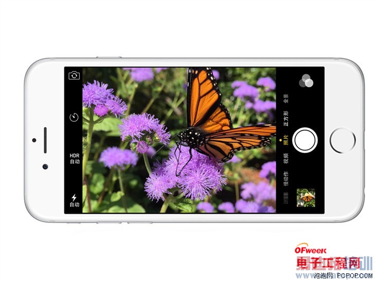 �������� ������iOS��Android������