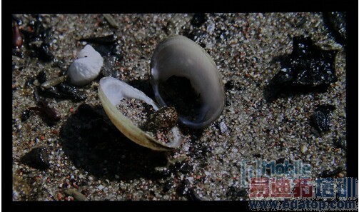 64λ������/�������� ����VIBE Z2����