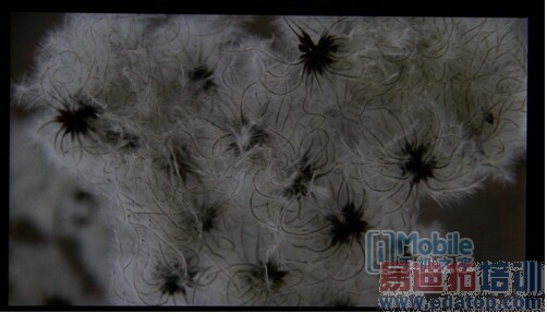 64λ������/�������� ����VIBE Z2����