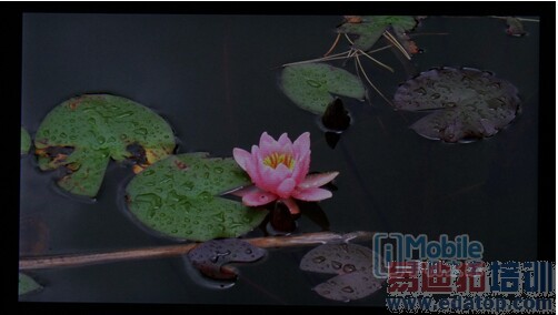 64λ������/�������� ����VIBE Z2����