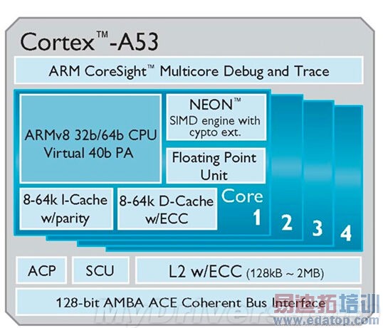 ��ҫоƬ���ɱ䣺δ����ͨ���Կ��⣡