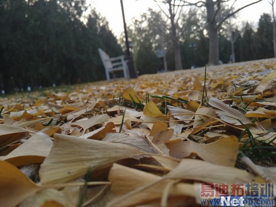 С��5/MX5������η ���������չ٣�����MX4 Pro������⣨�£�